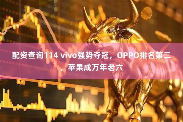 配资查询114 vivo强势夺冠，OPPO排名第二，苹果成万年老六