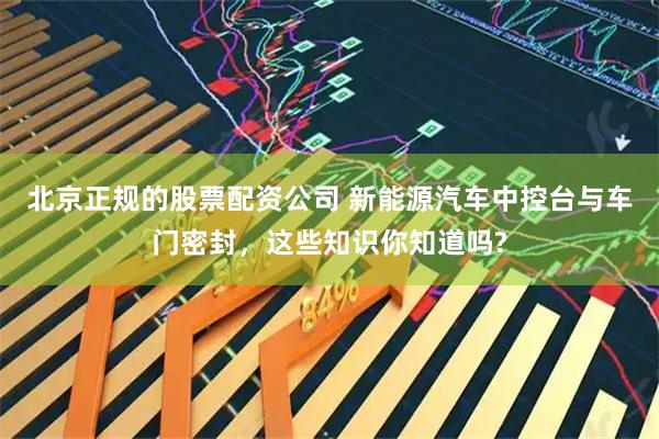 北京正规的股票配资公司 新能源汽车中控台与车门密封，这些知识你知道吗?